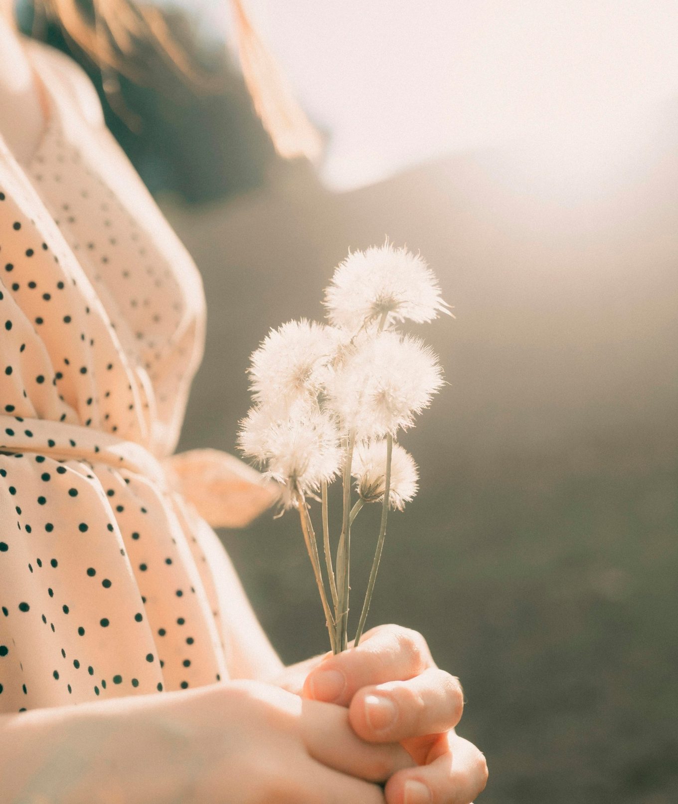 Mãos a segurar flores silvestres ao entardecer