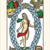 Baralho de tarot CBD Tarot De Marseille com 78 cartas reprodução fiel da tradição francesa
