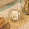 Castiçal de vidro transparente em vaso com margaridas naturais prensadas 8x10cm, Sopro d’Alma