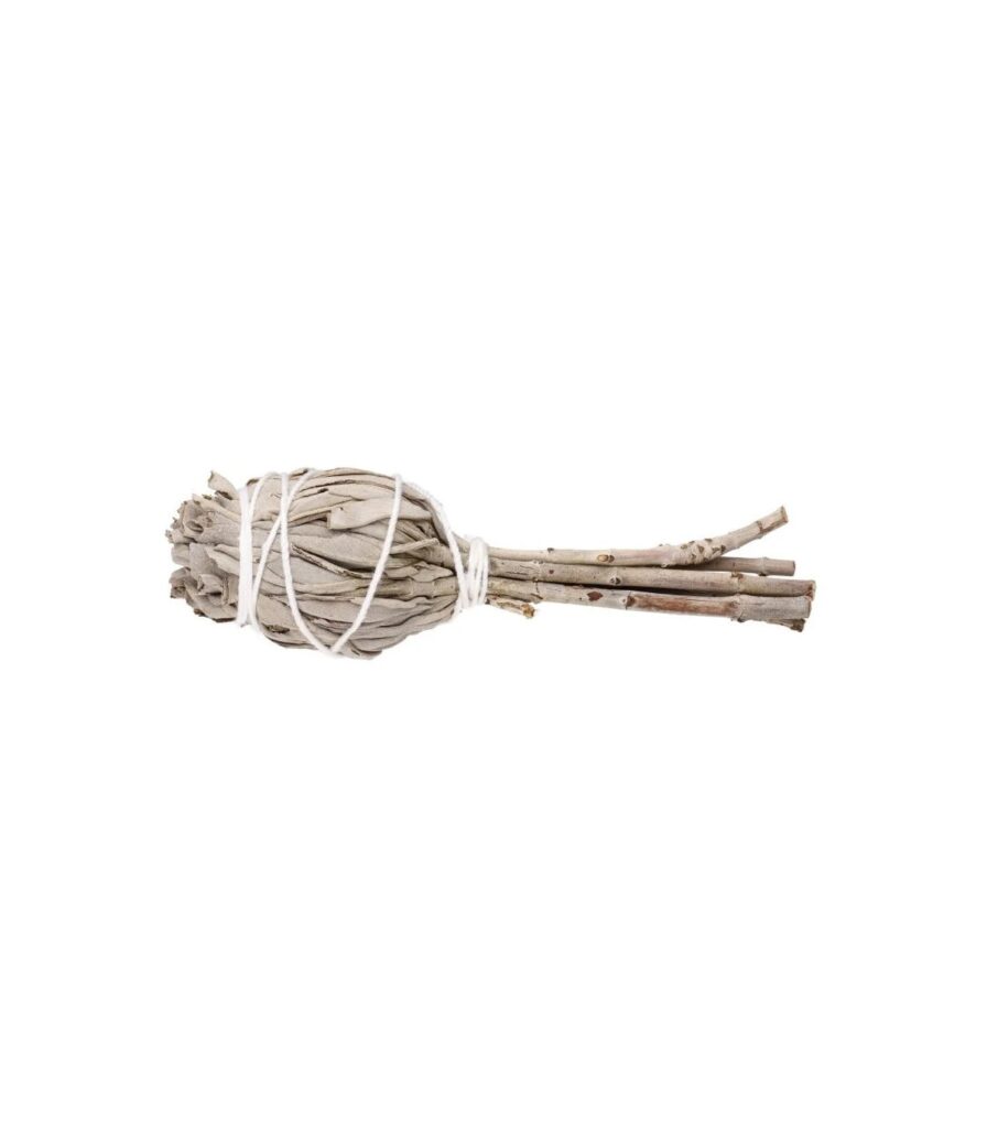 Tocha de sálvia branca da Califórnia em forma de túlipa com fio de algodão natural, para limpeza energética profunda